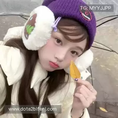 包镇